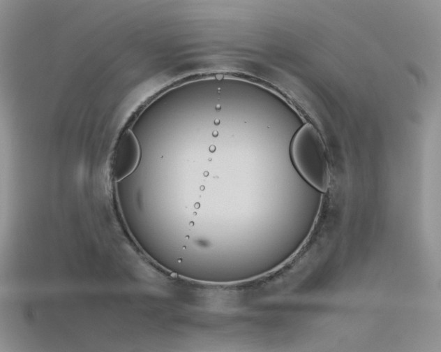 X0000115720789200911121449