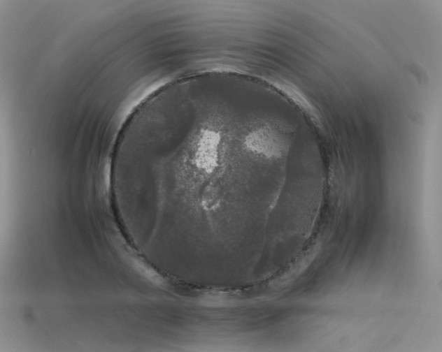 X0000115720790200911121449