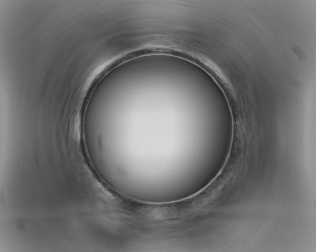X0000115720791200911121449
