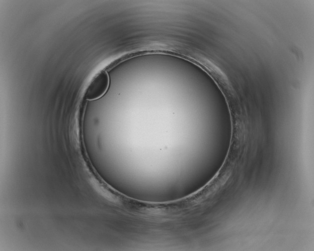 X0000115720792200911121449