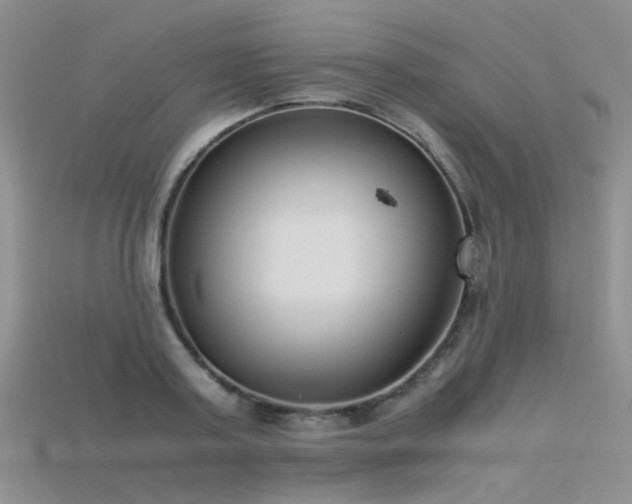 X0000115720795200911121449