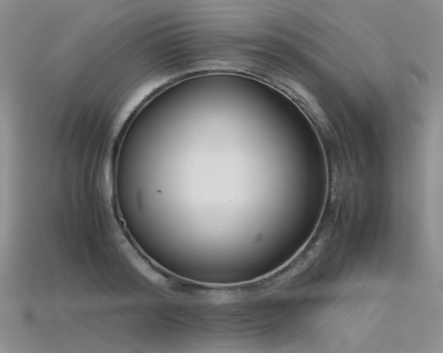 X0000115720796200911121449