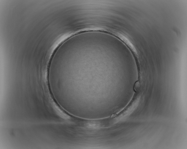 X0000115720797200911121449