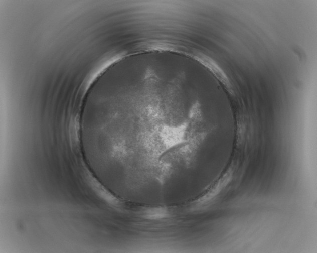 X0000115720798200911121449