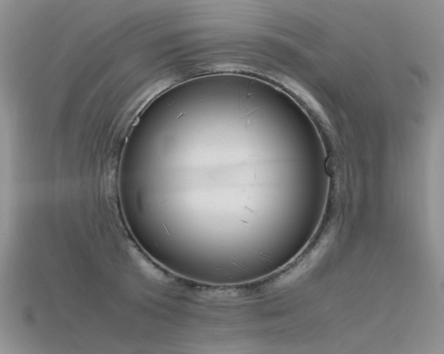 X0000115720801200911121449
