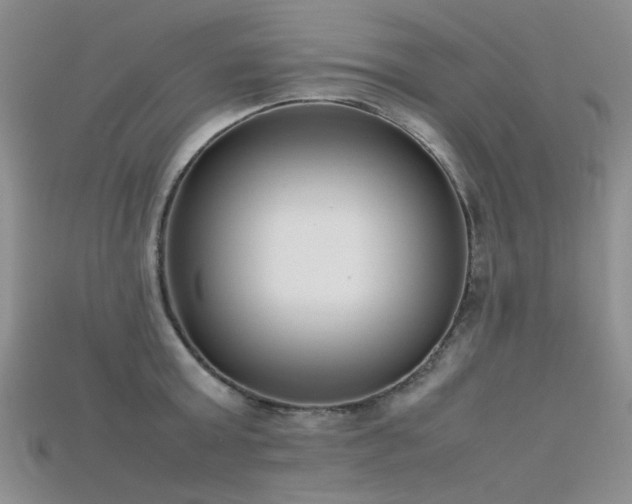 X0000115720803200911121449