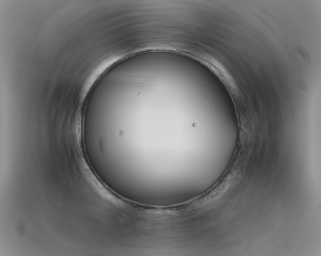 X0000115720804200911121449
