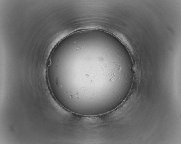 X0000115720805200911121449