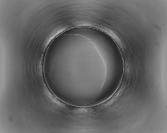 X0000115720806200911121449