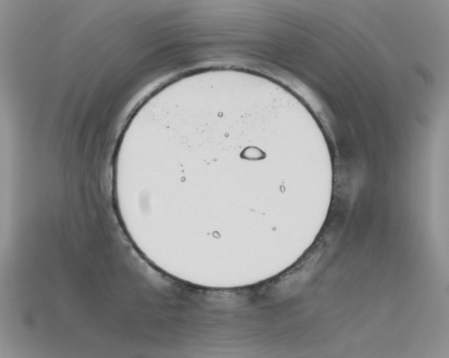X0000115720807200911121449