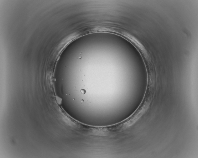X0000115720809200911121449