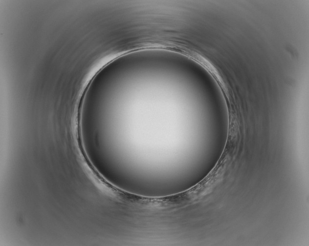 X0000115720811200911121449