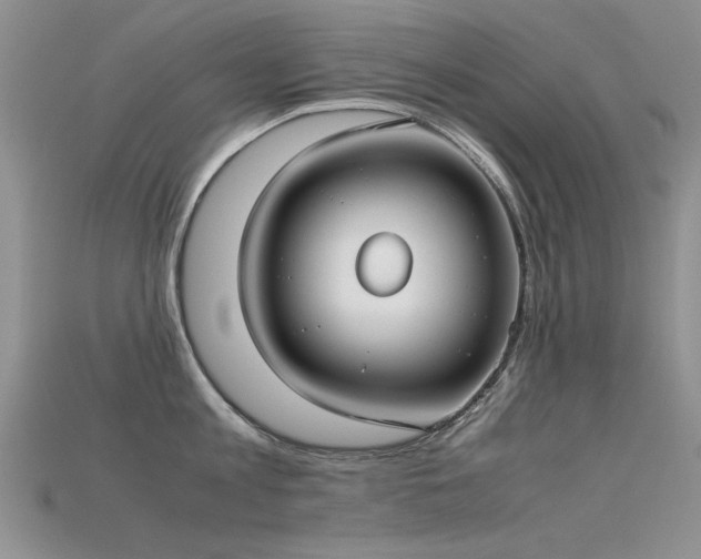 X0000115720813200911121449