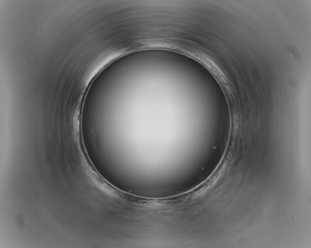 X0000115720814200911121449