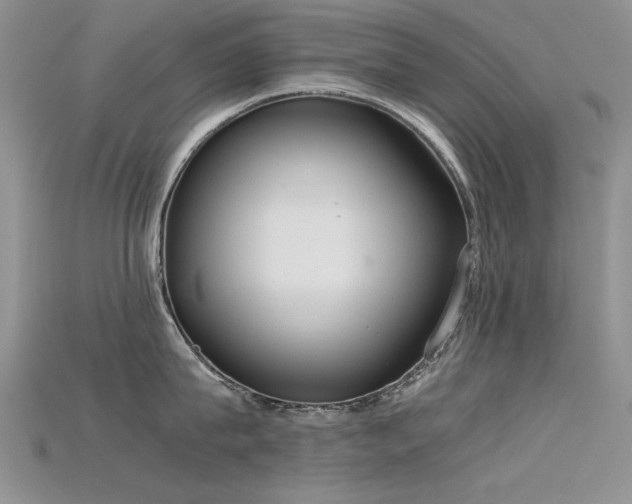 X0000115720815200911121449