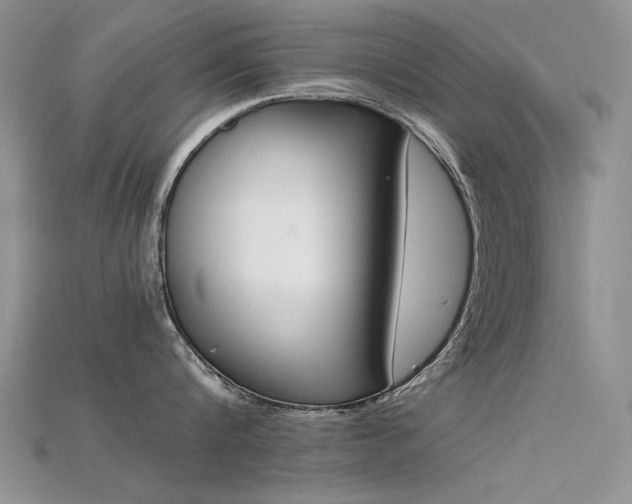 X0000115720816200911121449