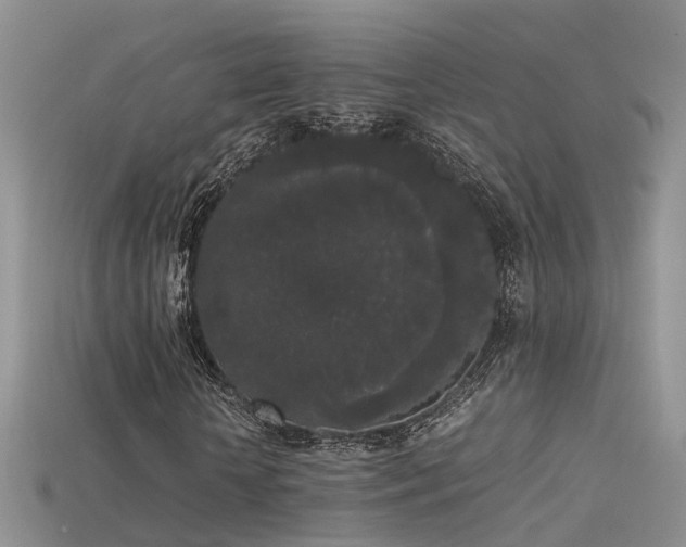 X0000115720818200911121448