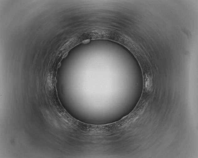 X0000115720819200911121448