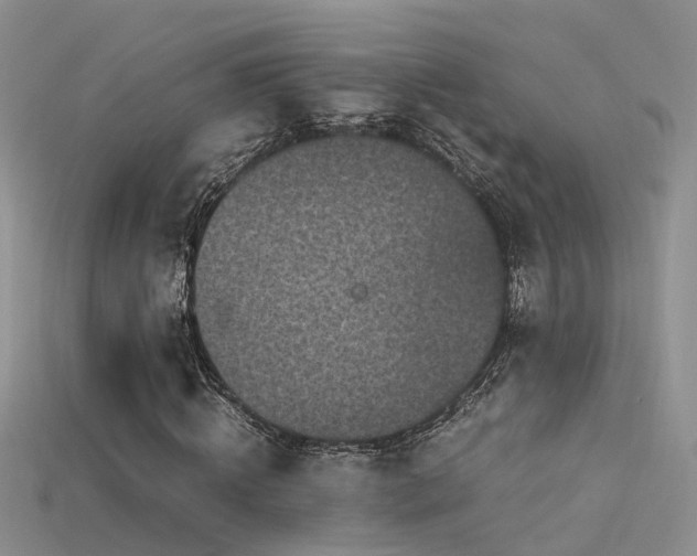 X0000115720820200911121448