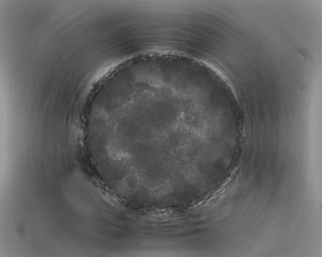 X0000115720823200911121448