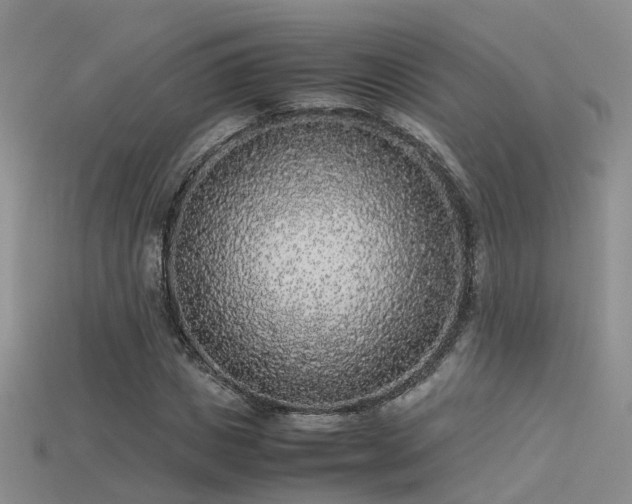 X0000115720825200911121448