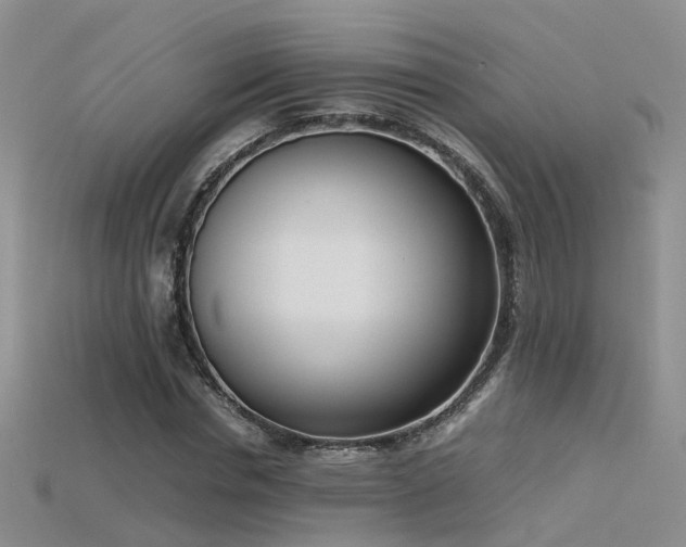 X0000115720826200911121448