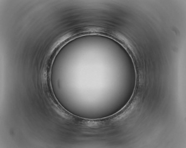 X0000115720827200911121448
