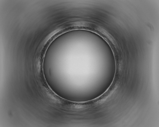 X0000115720829200911121448