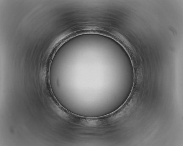 X0000115720831200911121448