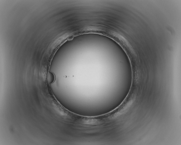 X0000115720833200911121448