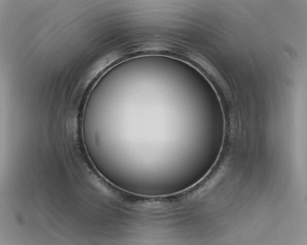 X0000115720834200911121448