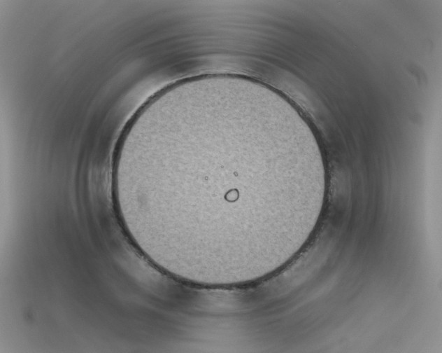 X0000115720836200911121448