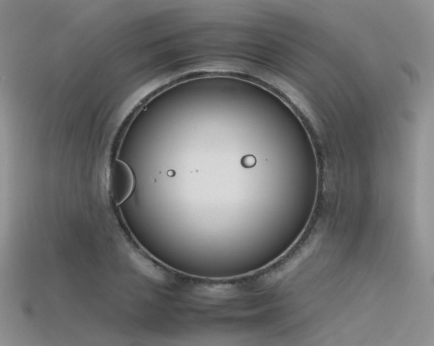X0000115720837200911121448
