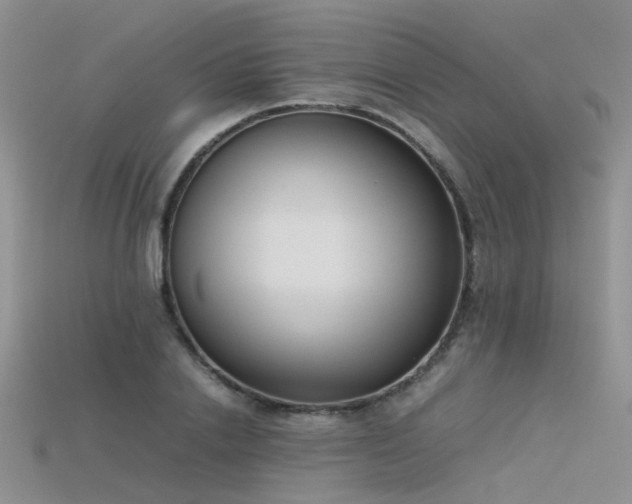 X0000115720838200911121448