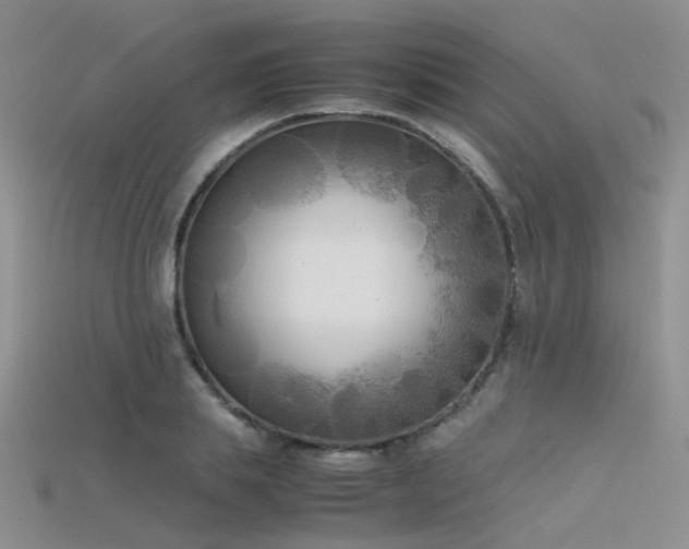 X0000115720839200911121449