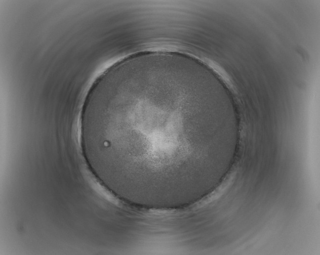 X0000115720840200911121449
