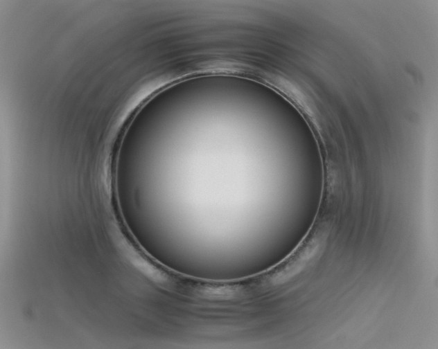 X0000115720843200911121449