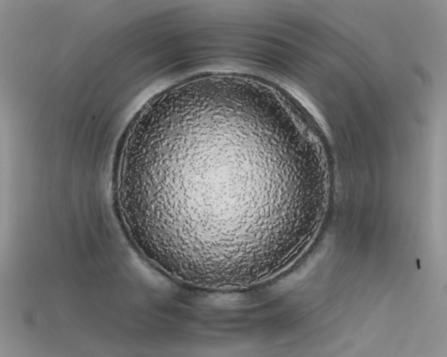 X0000115720845200911121449