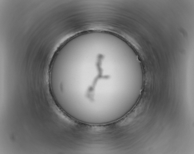 X0000115720848200911121449