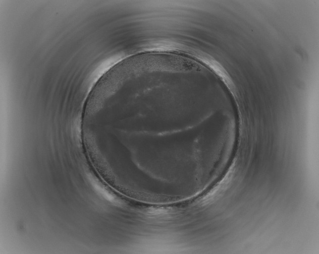 X0000115720850200911121449