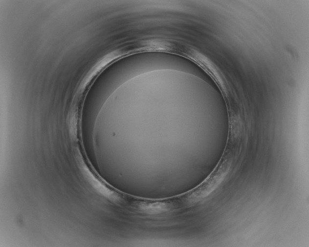 X0000115720851200911121449