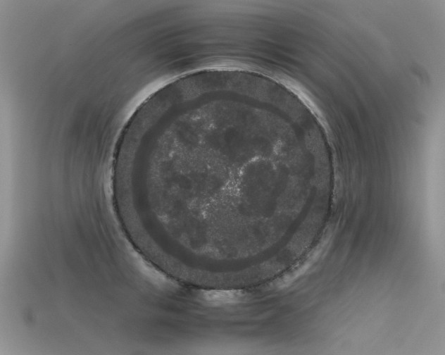 X0000115720853200911121449