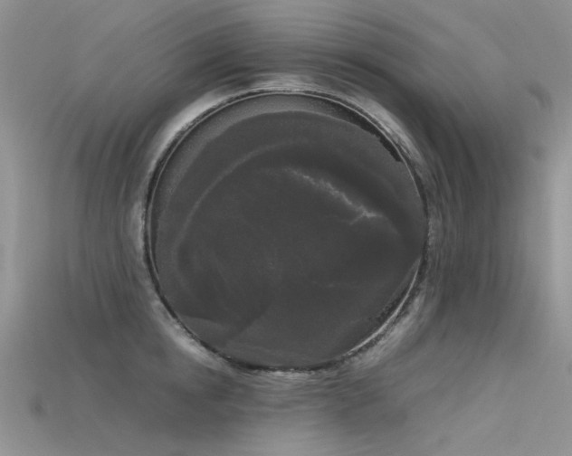 X0000115720854200911121449