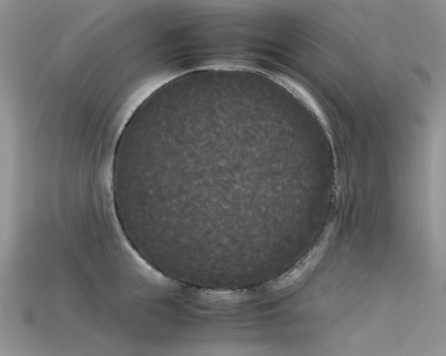 X0000115720855200911121449