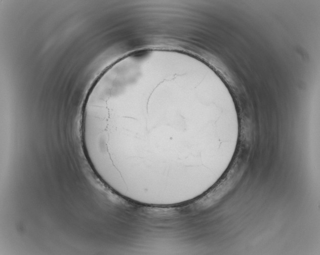 X0000115720856200911121449