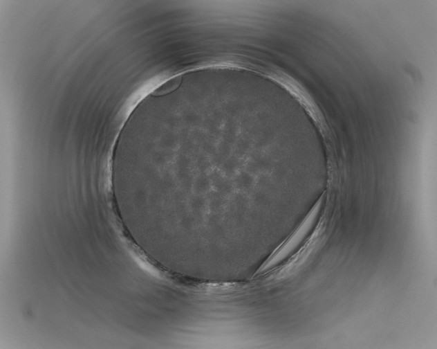 X0000115720858200911121449