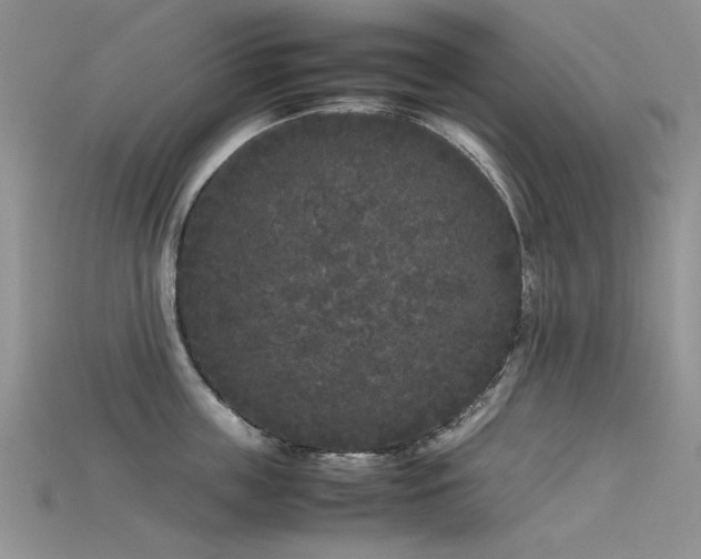 X0000115720859200911121449