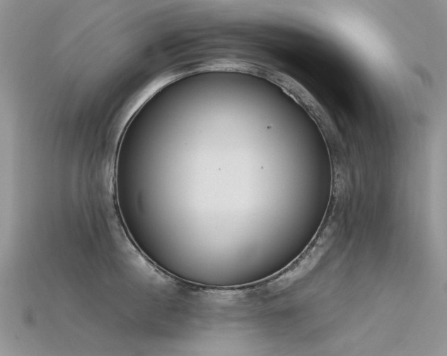 X0000115720860200911121449