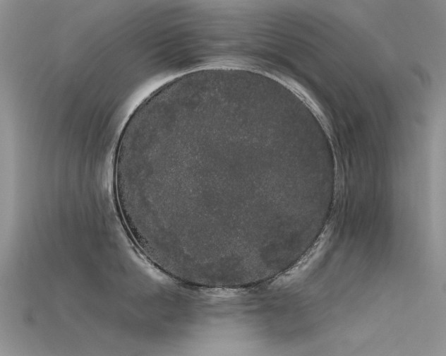 X0000115720862200911121449