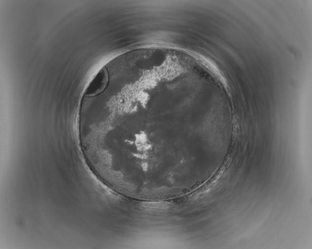 X0000115720863200911121449